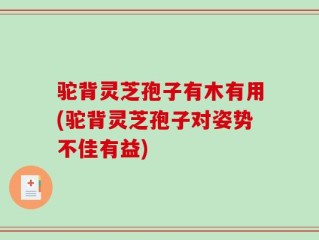驼背灵芝孢子有木有用(驼背灵芝孢子对姿势不佳有益)