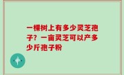 一棵树上有多少灵芝孢子？一亩灵芝可以产多少斤孢子粉