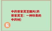 中药世家灵芝图片(药世家灵芝：一种珍贵的中药材)