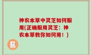 神农本草中灵芝如何服用(正确服用灵芝：神农本草教你如何用！)