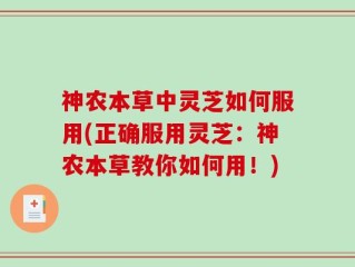 神农本草中灵芝如何服用(正确服用灵芝：神农本草教你如何用！)