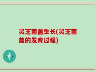 灵芝菌盖生长(灵芝菌盖的发育过程)
