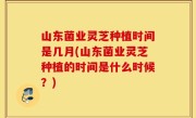 山东菌业灵芝种植时间是几月(山东菌业灵芝种植的时间是什么时候？)