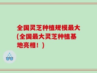 全国灵芝种植规模最大(全国最大灵芝种植基地亮相！)