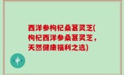 西洋参枸杞桑葚灵芝(枸杞西洋参桑葚灵芝，天然健康福利之选)