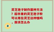 灵芝孢子制作菌种方法？超市里的灵芝孢子粉可以用在灵芝这种植吗，我该怎么办