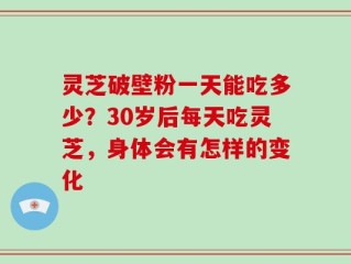 灵芝破壁粉一天能吃多少？30岁后每天吃灵芝，身体会有怎样的变化