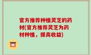 官方推荐种植灵芝的药材(官方推荐灵芝为药材种植，提高收益)