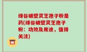 绿谷破壁灵芝孢子粉是药(绿谷破壁灵芝孢子粉：功效及用途，值得关注)