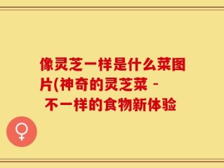 像灵芝一样是什么菜图片(神奇的灵芝菜 - 不一样的食物新体验
