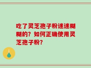 吃了灵芝孢子粉迷迷糊糊的？如何正确使用灵芝孢子粉？