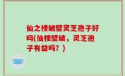 仙之楼破壁灵芝孢子好吗(仙楼壁破，灵芝孢子有益吗？)