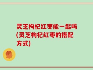 灵芝枸杞红枣能一起吗(灵芝枸杞红枣的搭配方式)