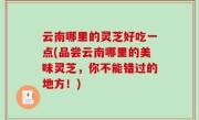 云南哪里的灵芝好吃一点(品尝云南哪里的美味灵芝，你不能错过的地方！)