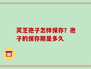 灵芝孢子怎样保存？孢子的保存期是多久