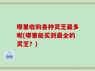 哪里收购各种灵芝最多呢(哪里能买到最全的灵芝？)