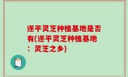 遂平灵芝种植基地是否有(遂平灵芝种植基地：灵芝之乡)