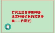 竹灵芝适合哪里种植(适宜种植竹林的灵芝种类——竹灵芝)