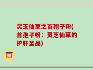 灵芝仙草之首孢子粉(首孢子粉：灵芝仙草的护肝圣品)