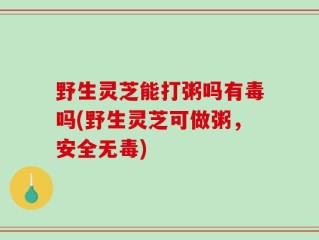 野生灵芝能打粥吗有毒吗(野生灵芝可做粥，安全无毒)