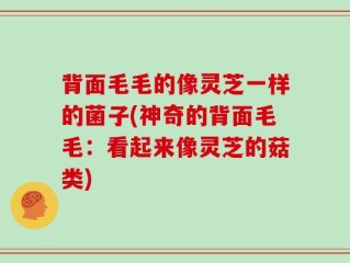 背面毛毛的像灵芝一样的菌子(神奇的背面毛毛：看起来像灵芝的菇类)
