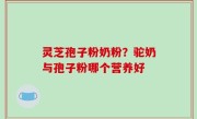 灵芝孢子粉奶粉？驼奶与孢子粉哪个营养好