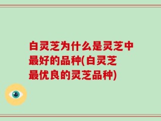 白灵芝为什么是灵芝中最好的品种(白灵芝 最优良的灵芝品种)