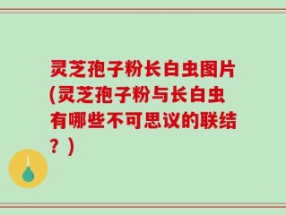 灵芝孢子粉长白虫图片(灵芝孢子粉与长白虫有哪些不可思议的联结？)