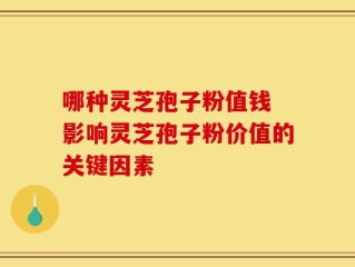 哪种灵芝孢子粉值钱 影响灵芝孢子粉价值的关键因素