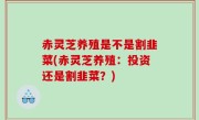 赤灵芝养殖是不是割韭菜(赤灵芝养殖：投资还是割韭菜？)