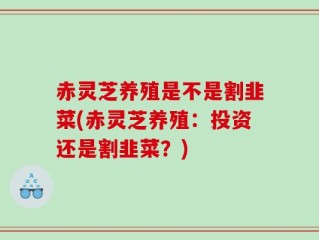 赤灵芝养殖是不是割韭菜(赤灵芝养殖：投资还是割韭菜？)