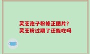 灵芝孢子粉修正图片？灵芝粉过期了还能吃吗