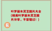叶罗丽木灵芝图片大全(精美叶罗丽木灵芝图片分享，不容错过！)