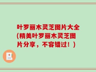 叶罗丽木灵芝图片大全(精美叶罗丽木灵芝图片分享，不容错过！)