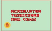 网红灵芝被人踩了视频下载(网红灵芝视频遭到踩踏，引发关注)