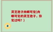 灵芝孢子肉眼可见(肉眼可见的灵芝孢子，你见过吗？)