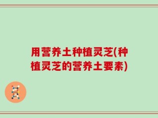 用营养土种植灵芝(种植灵芝的营养土要素)