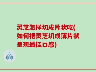 灵芝怎样切成片状吃(如何把灵芝切成薄片状呈现最佳口感)