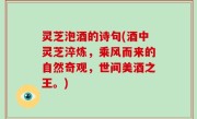 灵芝泡酒的诗句(酒中灵芝淬炼，乘风而来的自然奇观，世间美酒之王。)