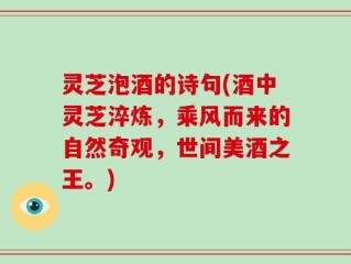 灵芝泡酒的诗句(酒中灵芝淬炼，乘风而来的自然奇观，世间美酒之王。)