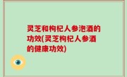 灵芝和枸杞人参泡酒的功效(灵芝枸杞人参酒的健康功效)