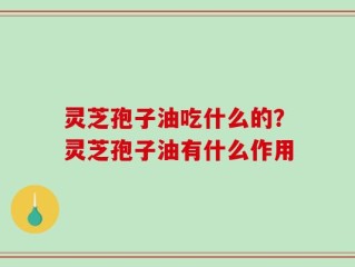 灵芝孢子油吃什么的？灵芝孢子油有什么作用