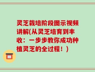 灵芝栽培阶段图示视频讲解(从灵芝培育到丰收：一步步教你成功种植灵芝的全过程！)