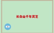 长白山千年灵芝