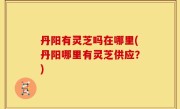 丹阳有灵芝吗在哪里(丹阳哪里有灵芝供应？)
