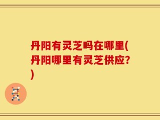 丹阳有灵芝吗在哪里(丹阳哪里有灵芝供应？)