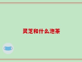 灵芝和什么泡茶