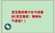 灵芝黄芪哪个补气效果好(灵芝黄芪：哪种补气更佳？)