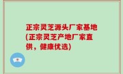 正宗灵芝源头厂家基地(正宗灵芝产地厂家直供，健康优选)