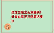 灵芝三萜怎么测量的？长白山灵芝三萜高达多少